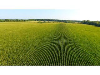 TRACT 4 - ILLINOIS LAND AUCTION - 4,810+/- ACRES OFFERED IN 85 TRACTS IN FRANKLIN, WILLIAMSON, HAMILTON & SALINE COUNTIES, ILLINOIS